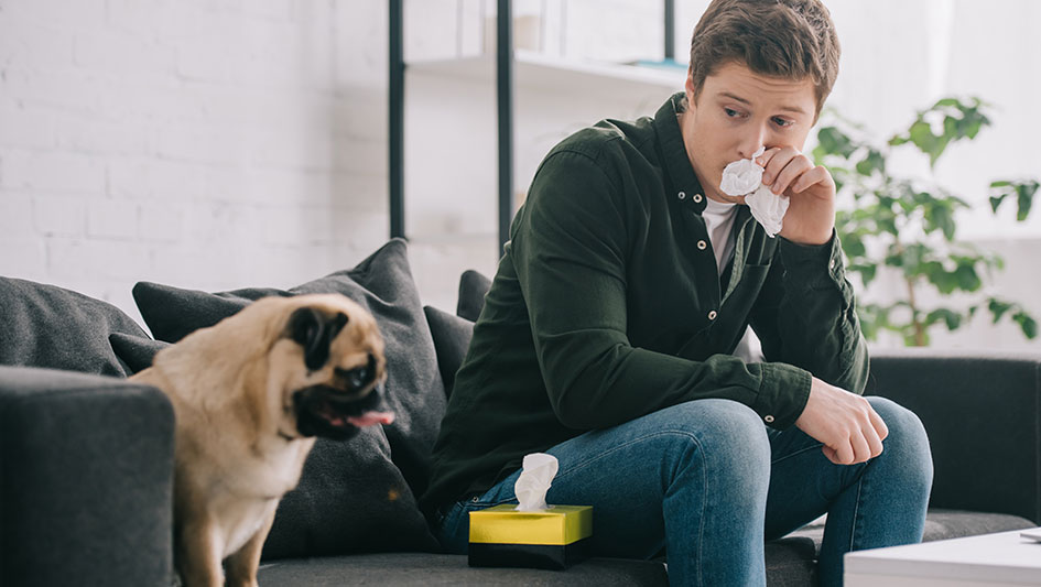 Installing an air purifier is one of the top ways to enhance your house’s indoor air quality. Discover more about the three smartest products. 